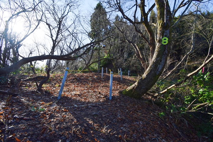 f:id:threepeaks:20191227133848j:plain f:id:threepeaks:20191227133848j:plain