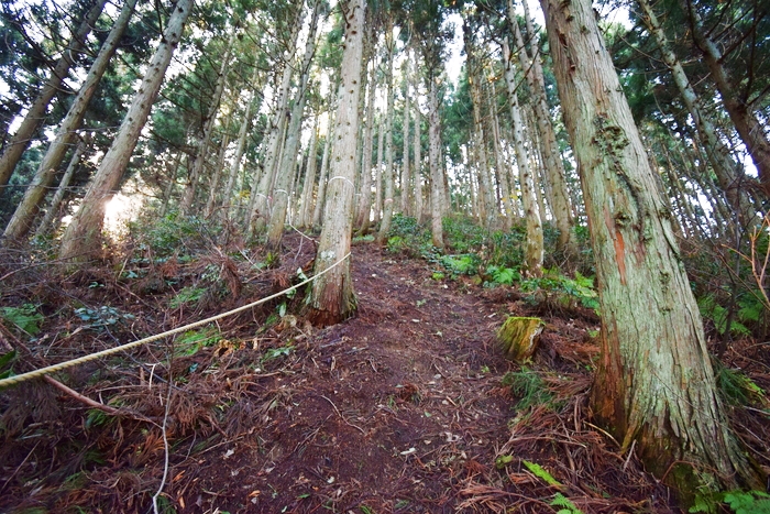 f:id:threepeaks:20191227134537j:plain f:id:threepeaks:20191227134537j:plain