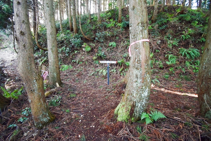 f:id:threepeaks:20191227134557j:plain f:id:threepeaks:20191227134557j:plain