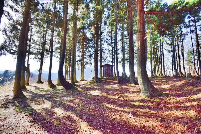 f:id:threepeaks:20191227141616j:plain f:id:threepeaks:20191227141616j:plain