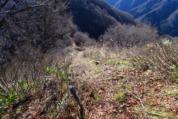 f:id:threepeaks:20191227161427j:plain f:id:threepeaks:20191227161427j:plain