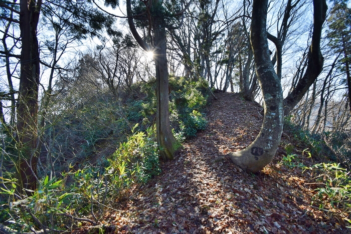 f:id:threepeaks:20191227161602j:plain f:id:threepeaks:20191227161602j:plain