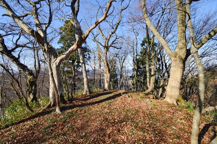 f:id:threepeaks:20191227161923j:plain f:id:threepeaks:20191227161923j:plain