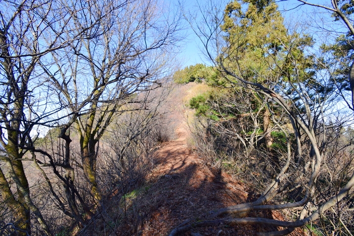 f:id:threepeaks:20191227162533j:plain f:id:threepeaks:20191227162533j:plain