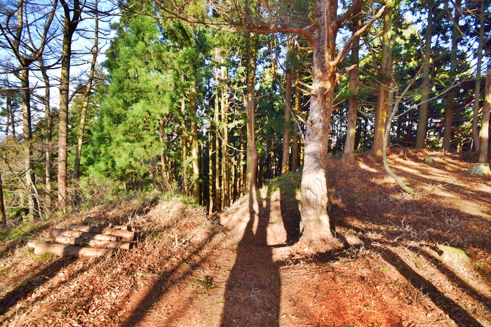 f:id:threepeaks:20191227163031j:plain f:id:threepeaks:20191227163031j:plain