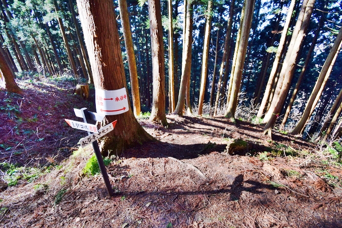 f:id:threepeaks:20191227163238j:plain f:id:threepeaks:20191227163238j:plain