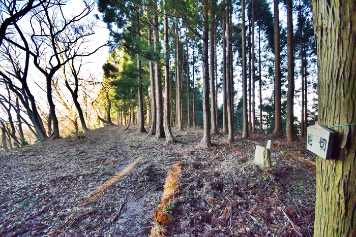 f:id:threepeaks:20191227163515j:plain f:id:threepeaks:20191227163515j:plain