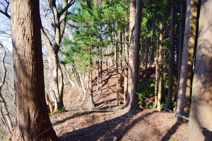 f:id:threepeaks:20191227163733j:plain f:id:threepeaks:20191227163733j:plain