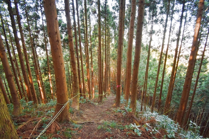 f:id:threepeaks:20191227163906j:plain f:id:threepeaks:20191227163906j:plain