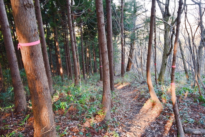 f:id:threepeaks:20191227164433j:plain f:id:threepeaks:20191227164433j:plain