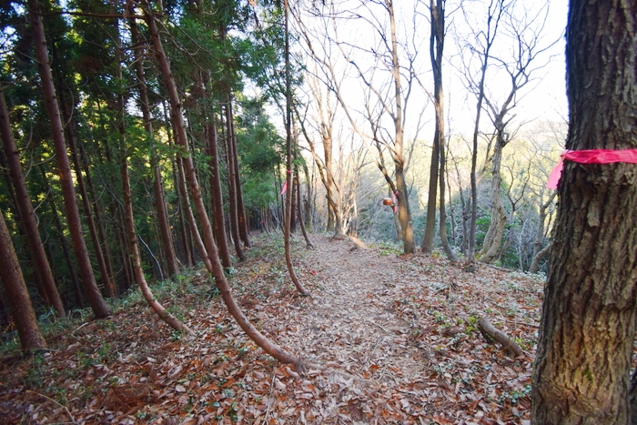 f:id:threepeaks:20191227164722j:plain f:id:threepeaks:20191227164722j:plain