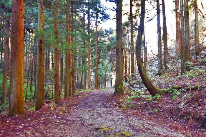 f:id:threepeaks:20191227165114j:plain f:id:threepeaks:20191227165114j:plain