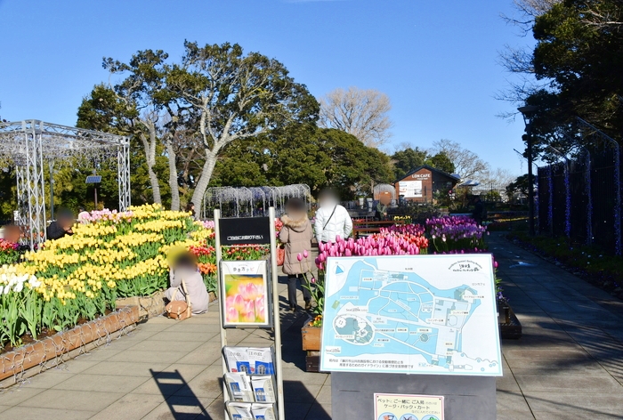 f:id:threepeaks:20200110222736j:plain