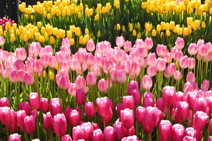 f:id:threepeaks:20200110224016j:plain