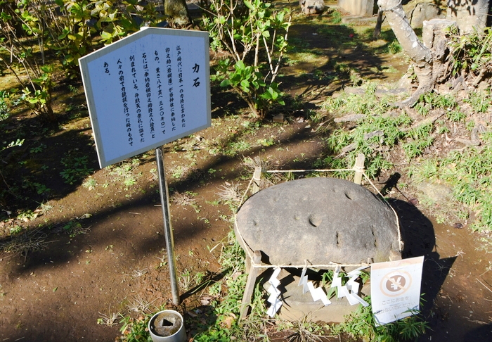 f:id:threepeaks:20200111000632j:plain