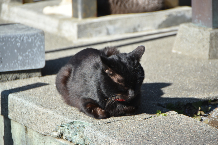 f:id:threepeaks:20200111005920j:plain