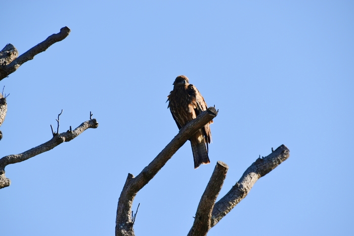 f:id:threepeaks:20200111013107j:plain