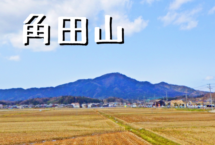 雪割草とカタクリを求めて角田山へ 桜尾根コース 灯台コース ３peaks