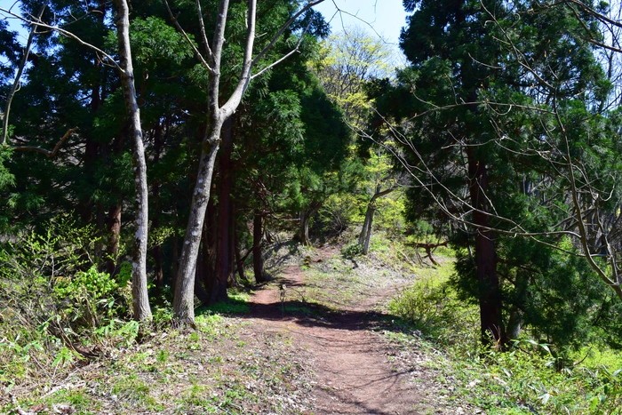 f:id:threepeaks:20200412234945j:plain