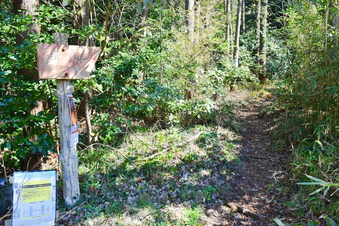 f:id:threepeaks:20200503111056j:plain f:id:threepeaks:20200503111056j:plain