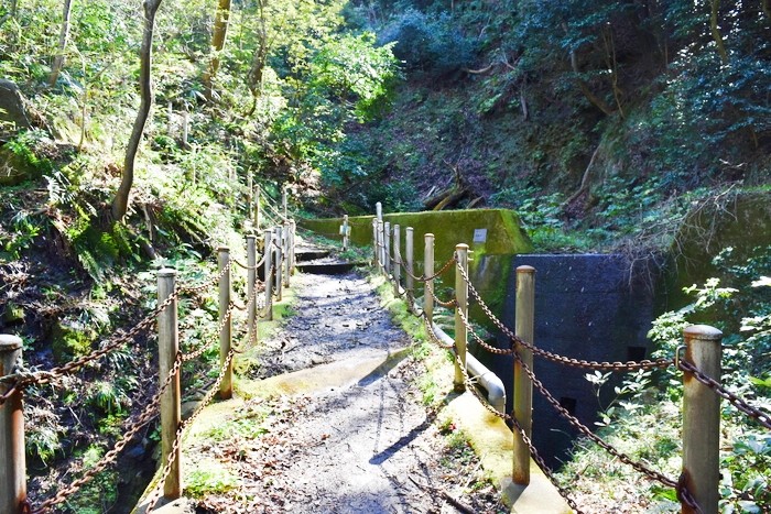 f:id:threepeaks:20200503111125j:plain f:id:threepeaks:20200503111125j:plain