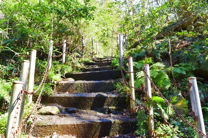 f:id:threepeaks:20200503111151j:plain f:id:threepeaks:20200503111151j:plain