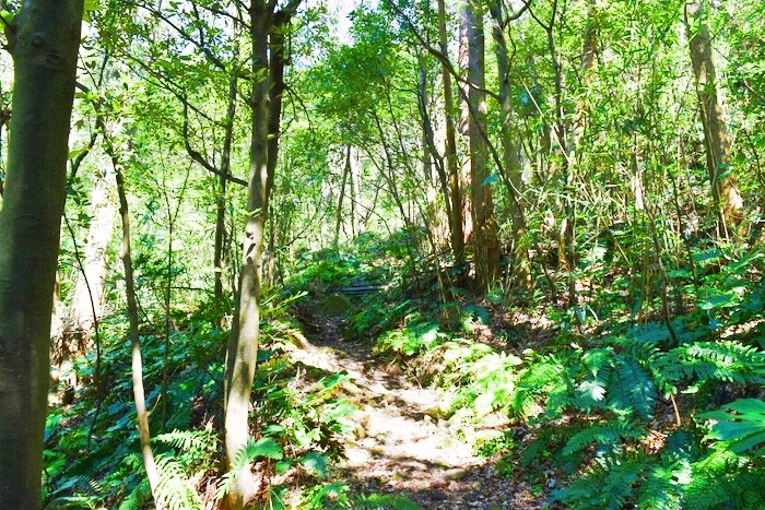 f:id:threepeaks:20200503111215j:plain f:id:threepeaks:20200503111215j:plain