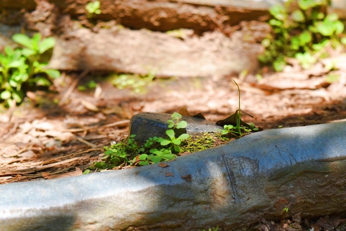 f:id:threepeaks:20200503111237j:plain f:id:threepeaks:20200503111237j:plain