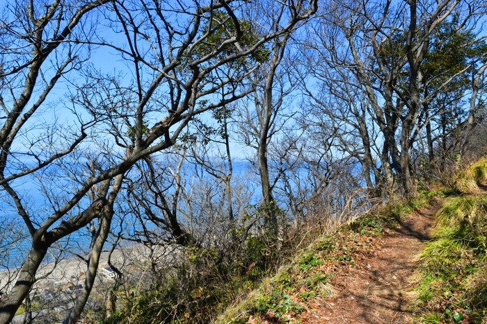 f:id:threepeaks:20200503111314j:plain f:id:threepeaks:20200503111314j:plain