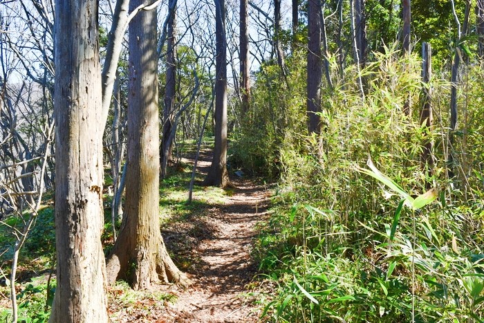 f:id:threepeaks:20200503111414j:plain f:id:threepeaks:20200503111414j:plain