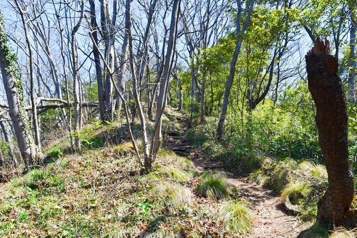 f:id:threepeaks:20200503111441j:plain f:id:threepeaks:20200503111441j:plain