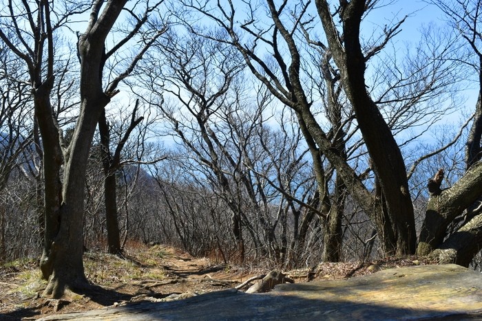 f:id:threepeaks:20200503111745j:plain f:id:threepeaks:20200503111745j:plain