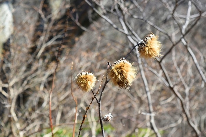 f:id:threepeaks:20200503111805j:plain f:id:threepeaks:20200503111805j:plain