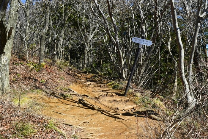 f:id:threepeaks:20200503111848j:plain f:id:threepeaks:20200503111848j:plain