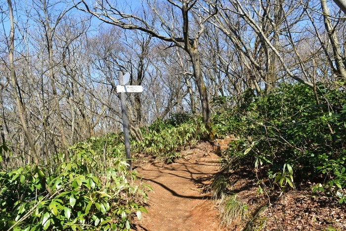 f:id:threepeaks:20200503111937j:plain f:id:threepeaks:20200503111937j:plain