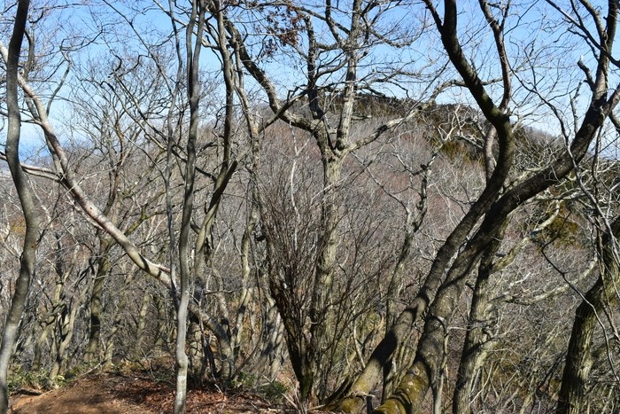 f:id:threepeaks:20200503112149j:plain f:id:threepeaks:20200503112149j:plain