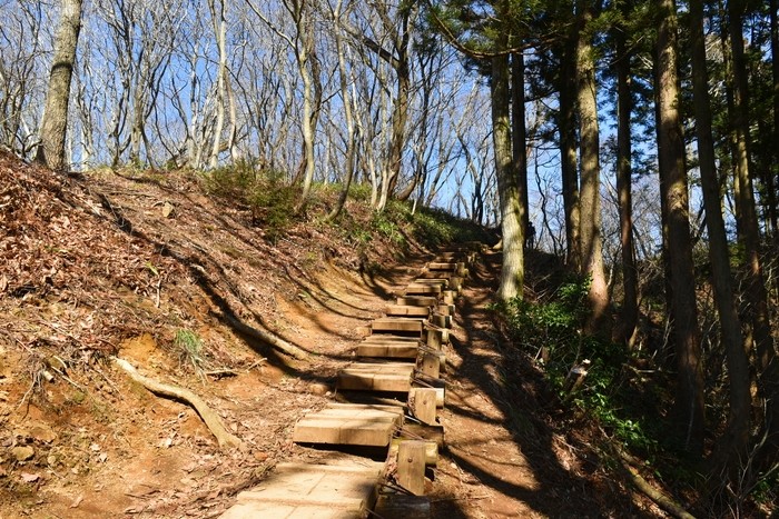 f:id:threepeaks:20200503112254j:plain f:id:threepeaks:20200503112254j:plain