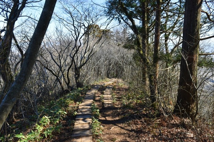 f:id:threepeaks:20200503112451j:plain f:id:threepeaks:20200503112451j:plain