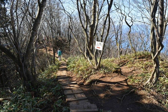 f:id:threepeaks:20200503112617j:plain f:id:threepeaks:20200503112617j:plain