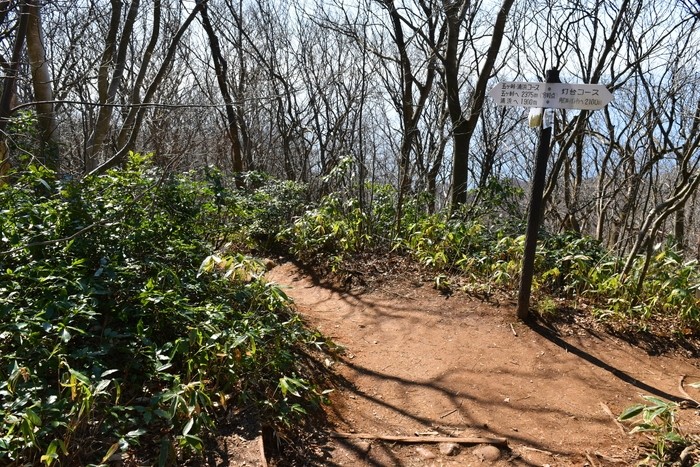 f:id:threepeaks:20200503112737j:plain f:id:threepeaks:20200503112737j:plain