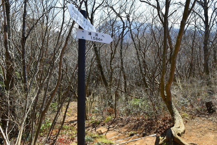 f:id:threepeaks:20200503112758j:plain f:id:threepeaks:20200503112758j:plain