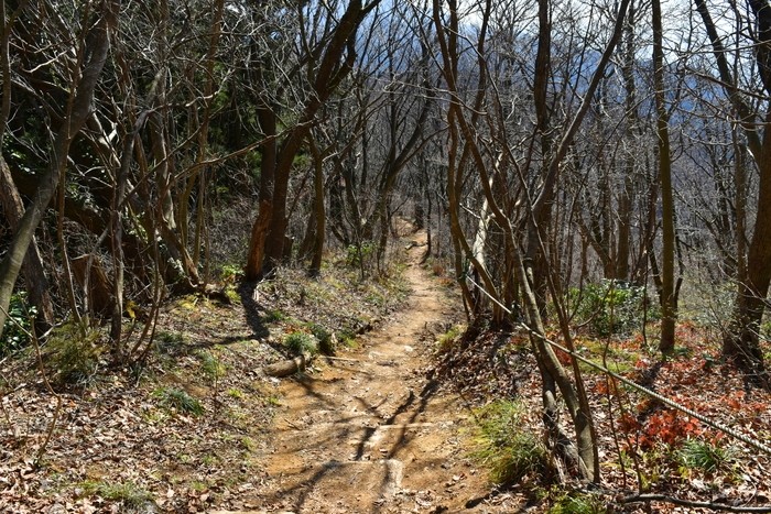 f:id:threepeaks:20200503112823j:plain f:id:threepeaks:20200503112823j:plain