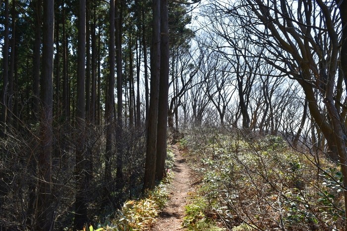 f:id:threepeaks:20200503112923j:plain f:id:threepeaks:20200503112923j:plain