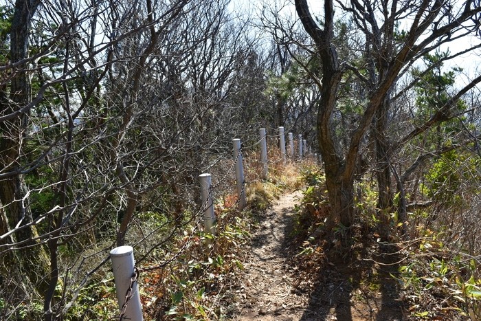 f:id:threepeaks:20200503112957j:plain f:id:threepeaks:20200503112957j:plain