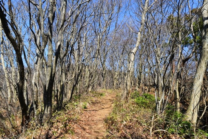 f:id:threepeaks:20200503113052j:plain f:id:threepeaks:20200503113052j:plain