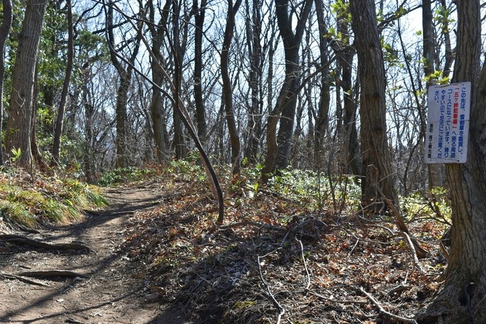 f:id:threepeaks:20200503113212j:plain f:id:threepeaks:20200503113212j:plain