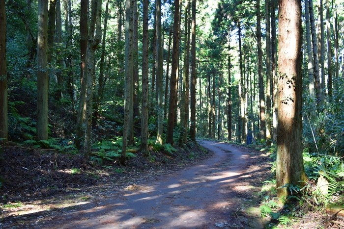 f:id:threepeaks:20200503113432j:plain f:id:threepeaks:20200503113432j:plain