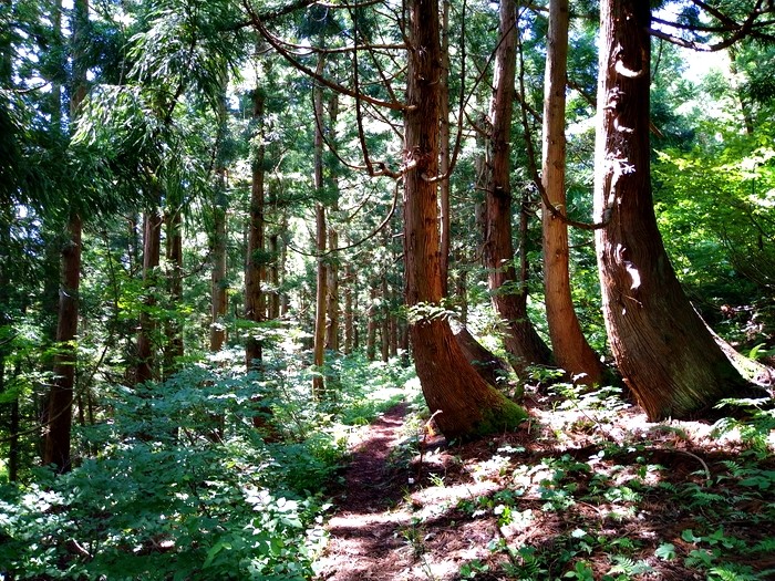 f:id:threepeaks:20200624204720j:plain