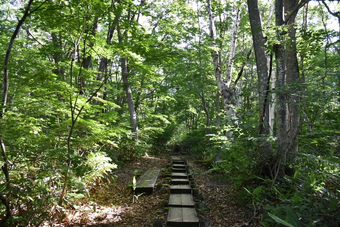 f:id:threepeaks:20200809154506j:plain f:id:threepeaks:20200809154506j:plain