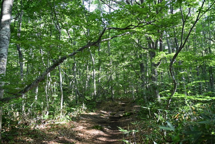 f:id:threepeaks:20200809154616j:plain f:id:threepeaks:20200809154616j:plain